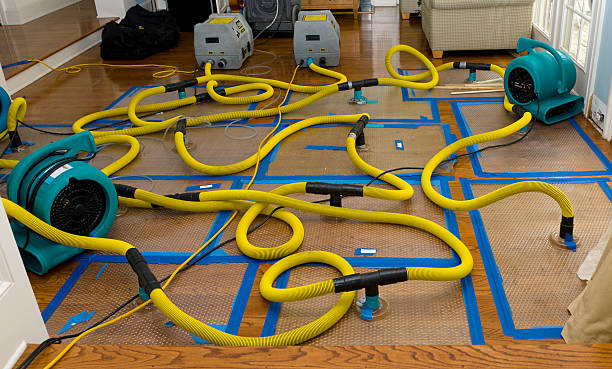 Professional Storm Water Damage Restoration technician working in Golden, CO